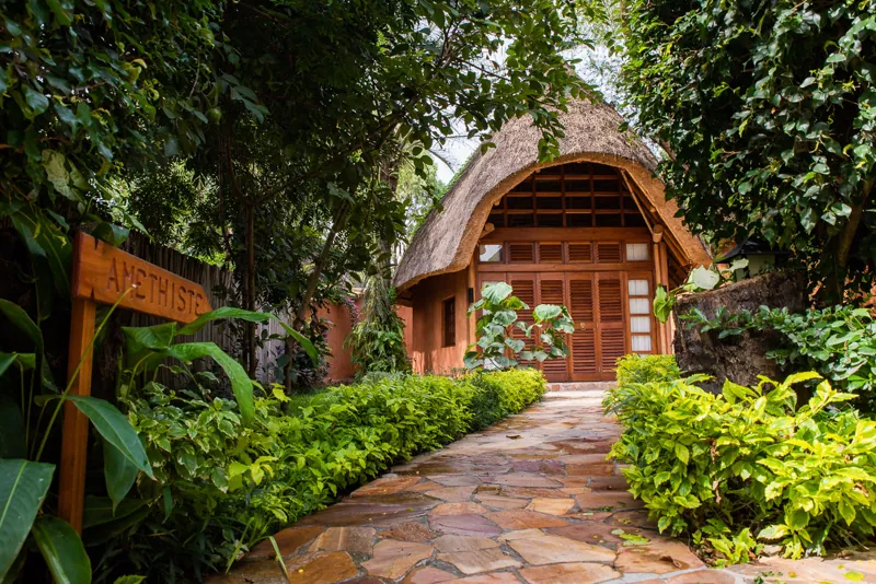 Une allée dallée bordée d’arbustes menant à l’entrée du bungalow Amethyst
