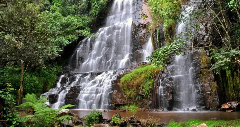 A wide waterfall spilling down mossy rock ledges into a pool, enclosed by dense green forest