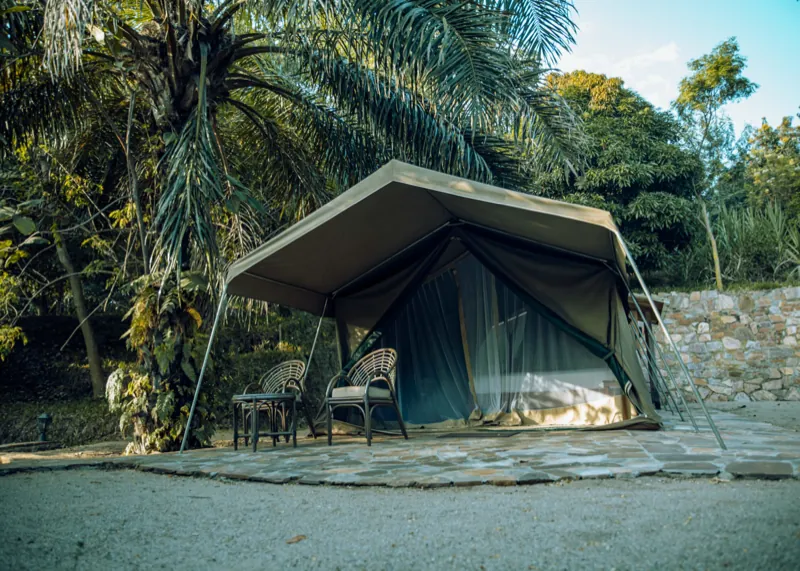 Une tente de safari en toile sous un auvent ouvert, avec des fauteuils en rotin sur la terrasse et des palmiers qui s’élèvent derrière
