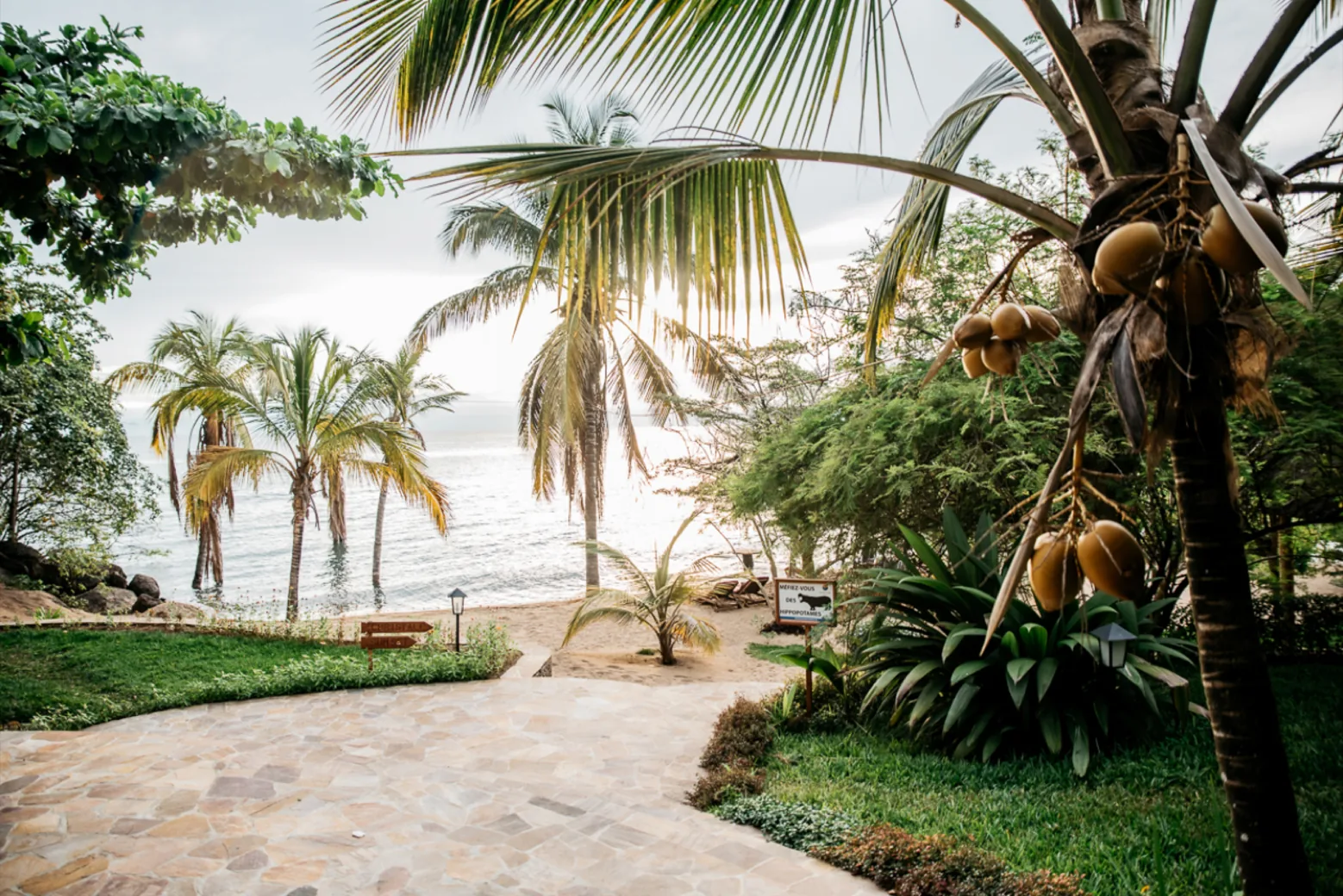 Une allée dallée descendant entre les cocotiers vers le sable et l’eau calme du lac