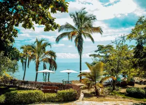 Palms and white parasols on the clipped lawn above the beach, with Lake Tanganyika beyond