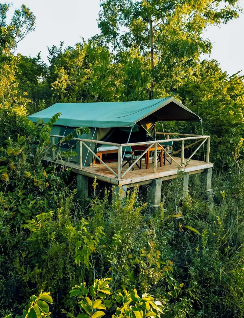 Une tente de safari en toile sur une terrasse en bois surélevée, entourée d’une végétation dense
