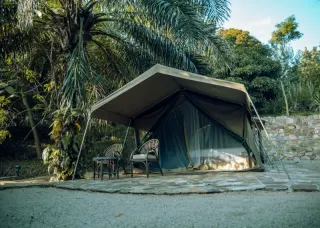 Une tente de safari en toile sous un auvent ouvert, avec des fauteuils en rotin sur la terrasse et des palmiers qui s’élèvent derrière