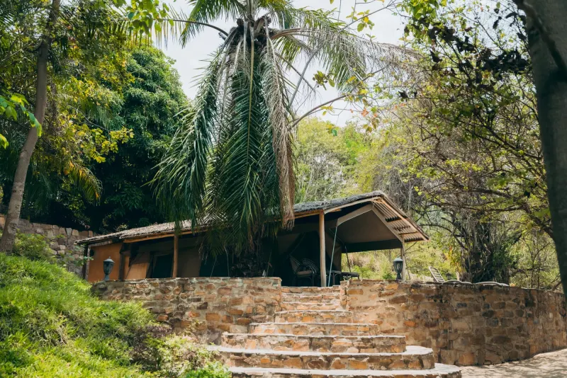 Une tente de safari en toile sous un auvent ouvert, avec des fauteuils en rotin sur la terrasse et des palmiers qui s’élèvent derrière
